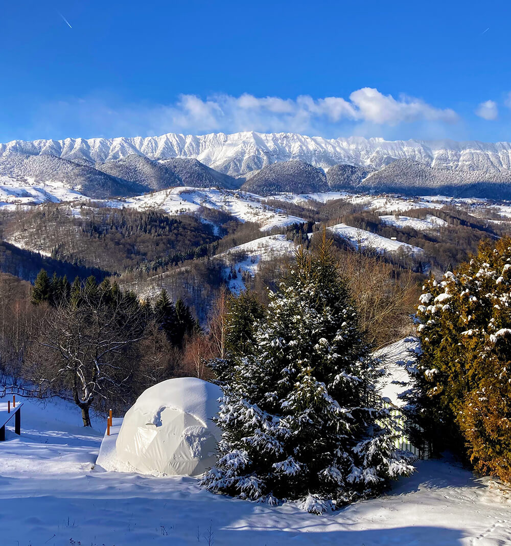 Domuri Igloo